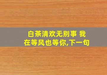 白茶清欢无别事 我在等风也等你,下一句